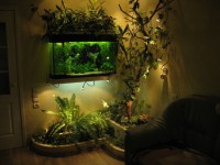 We make an aquarium with our own hands: design tips for decoration and design + 53 photos