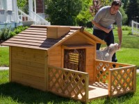 Do-it-yourself doghouse: 57 gambar mencipta rumah tahan lama untuk haiwan kesayangan anda!