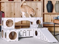 We make a house for a cat with our own hands: simple solutions and selection of materials + 59 photos of ideas