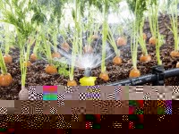 DIY drip irrigation: create an automatic watering system + 86 photos