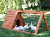 Gàbies de conill DIY: instruccions pas a pas per crear + 58 opcions de fotos