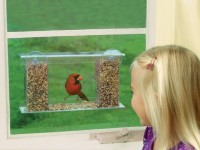 DIY bird feeder mula sa mga improvised na materyales: orihinal at simpleng mga ideya (81 mga larawan + video)