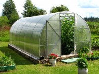 Make a greenhouse with your own hands: we select the profile and materials wisely! 84 photos of key ideas