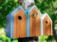 DIY birdhouse: kā izveidot uzticamu un ērtu putnu māju (61 foto)