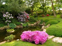 Do-it-yourself garden design: design and the basics of landscape design (82 photos and tips)