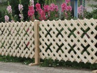 Do-it-yourself fence: wood, decking or stone? The right choice and installation instructions + 73 photos
